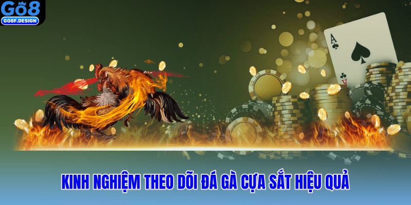 Kinh nghiệm theo dõi đá gà cựa sắt hiệu quả